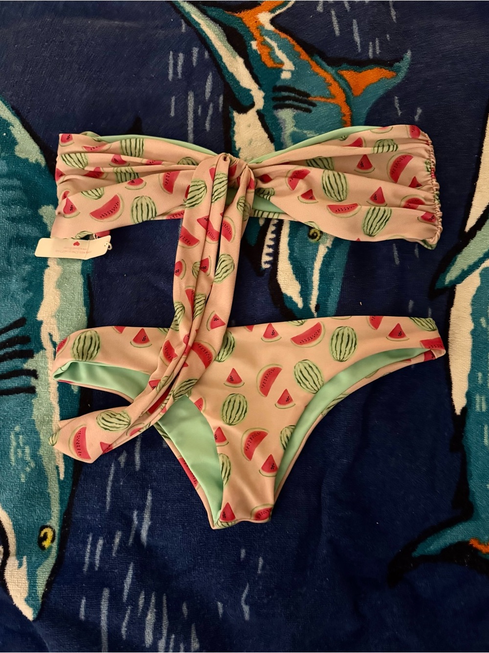Lolli Swim Watermelon Print Bandeau Bikini Set in Mint and Pink
